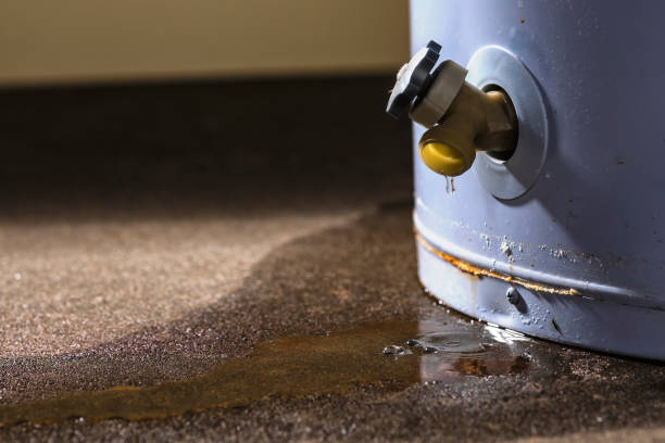 Water damage restoration insurance claims in Chesterland, OH