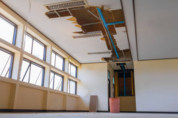 Best Water damage contractors near me  in Chesterland, OH