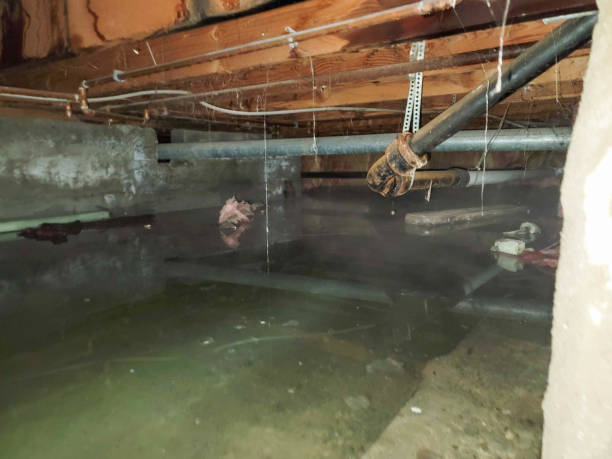 Best Water damage restoration insurance claims  in Chesterland, OH