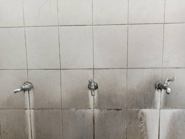Best 24-hour water damage restoration  in Chesterland, OH